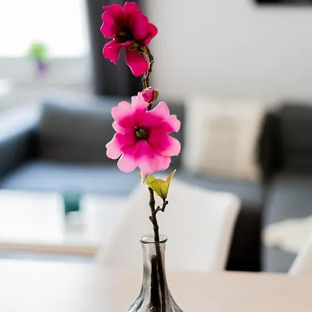 شقة Helle In Top-lage, Hasselbachplatz - Altstadt, W-lan, 4 Schlafplaetze ماغديبورغ