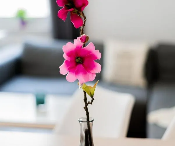 Apartment Helle In Top-lage, Hasselbachplatz - Altstadt, W-lan, 4 Schlafplätze Magdeburg